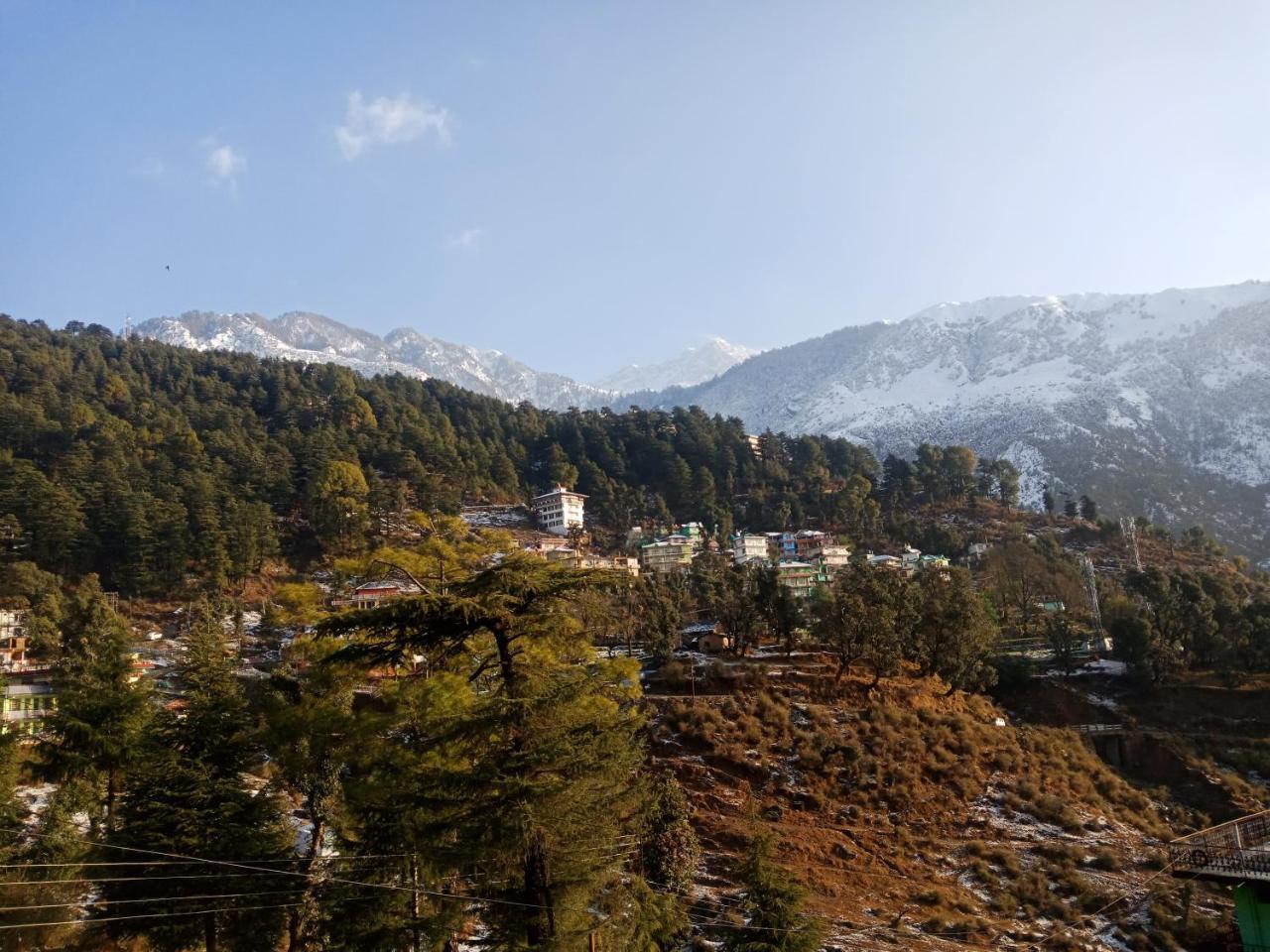 Hotel Pine Spring Dharamshala Exterior foto