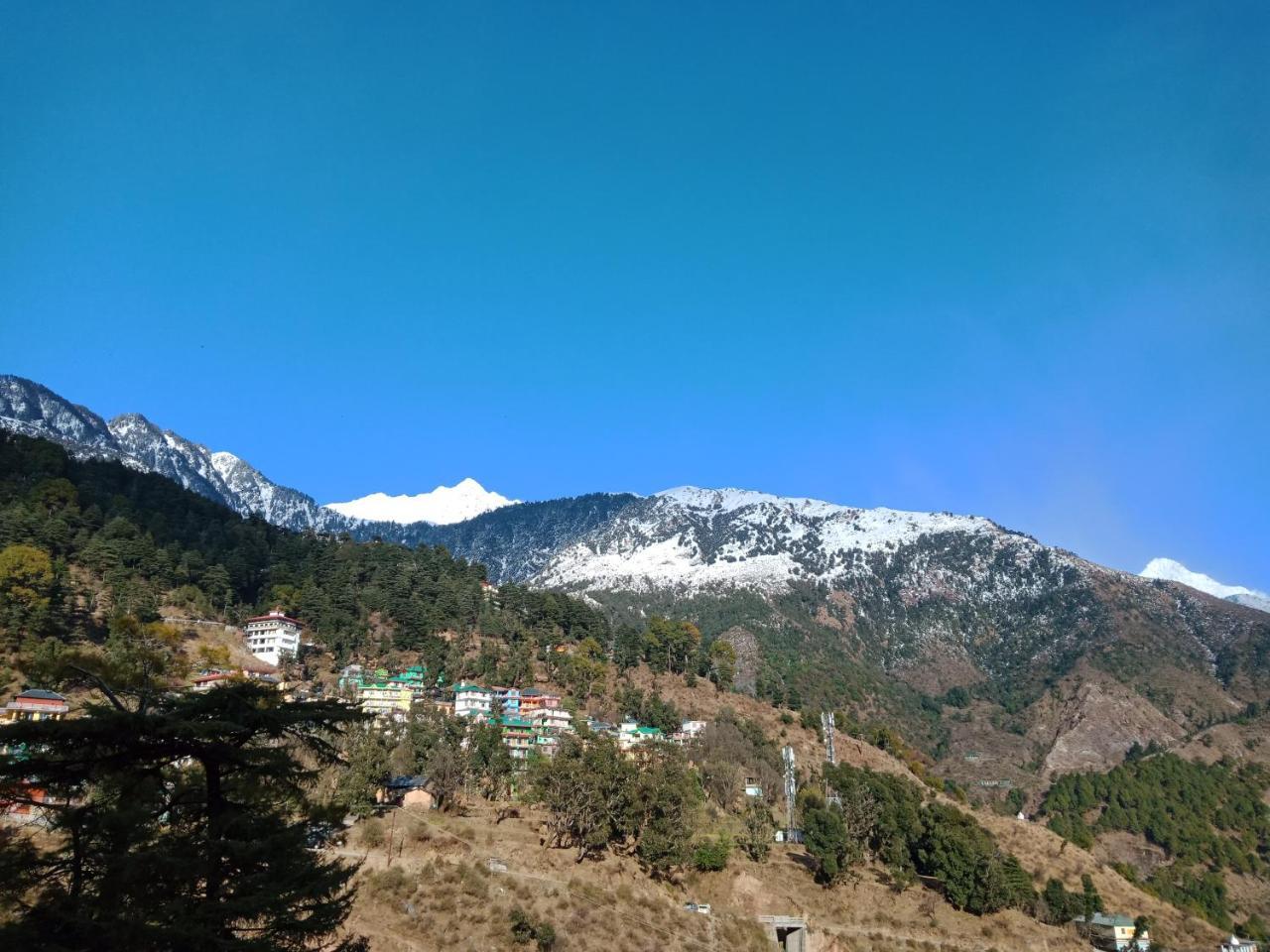 Hotel Pine Spring Dharamshala Exterior foto
