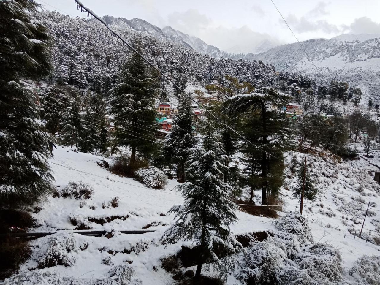 Hotel Pine Spring Dharamshala Exterior foto